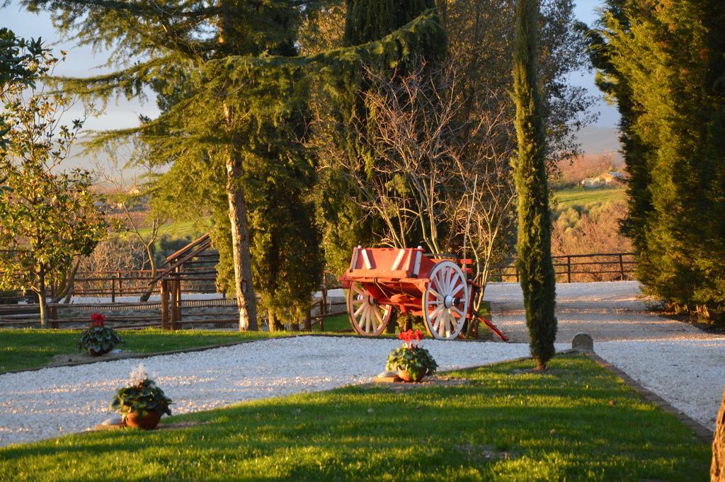 Agriturismo La Collina Pitigliano Ruang foto