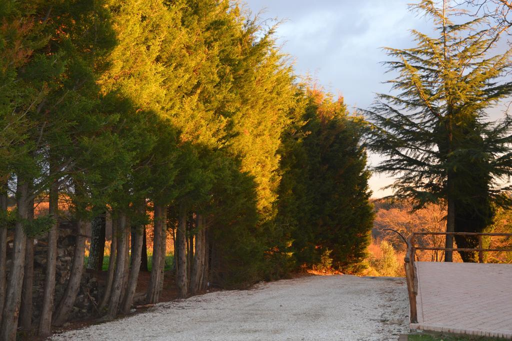 Agriturismo La Collina Pitigliano Bagian luar foto