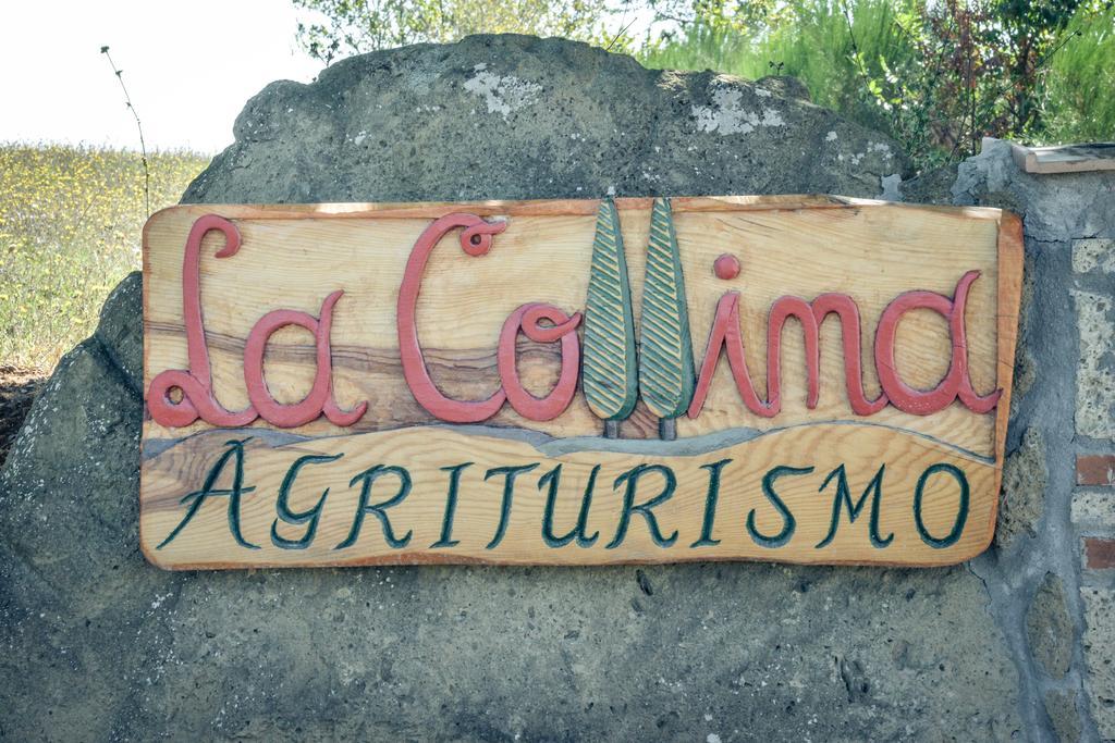 Agriturismo La Collina Pitigliano Bagian luar foto